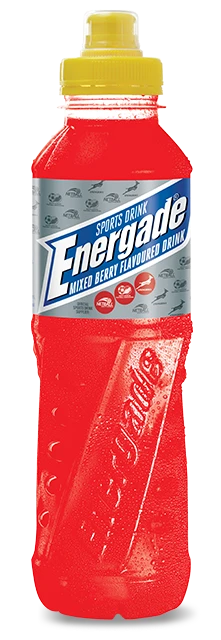 Regular_Mixed Berry